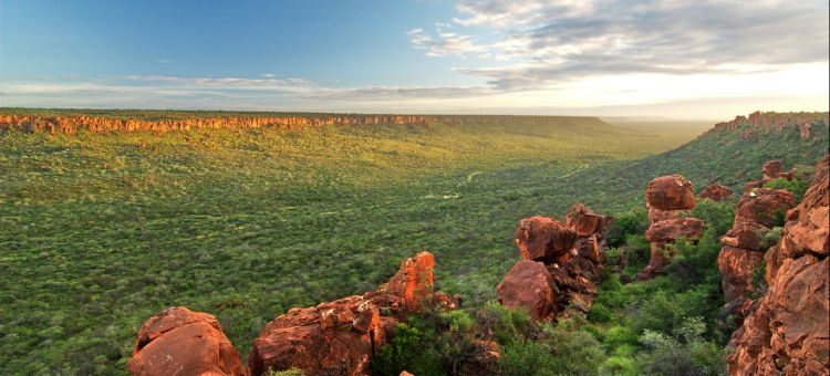 Quels sont les sites protégés namibiens à découvrir ?